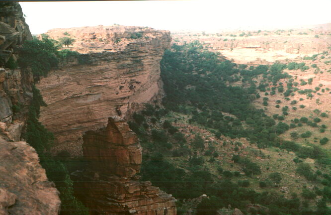 africapaisaje.jpg (62831 bytes)